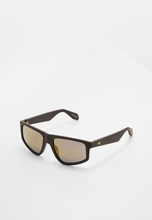 injected sunglasses Women