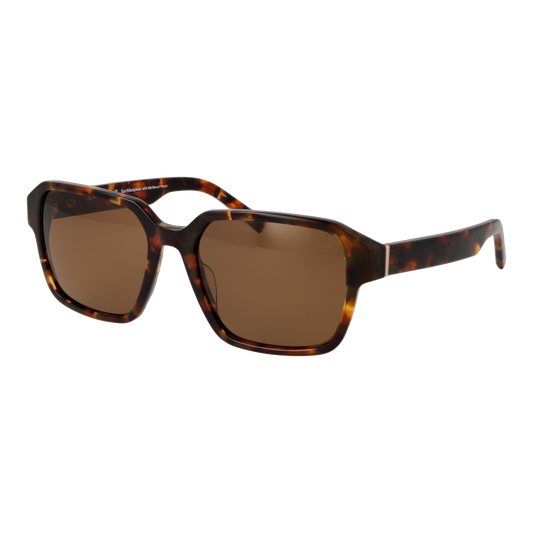 Timberland Square Sunglasses Brown (26002691) Men