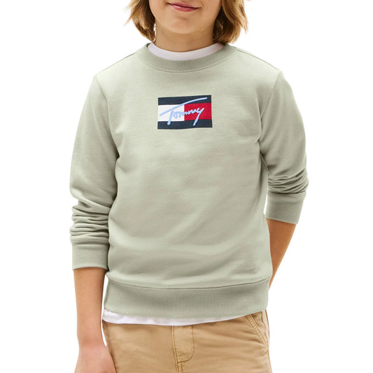 Tommy Hilfiger Script Flag Sweater (KB0KB09741-M1C) Kids