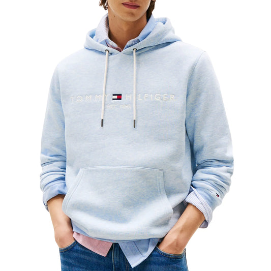 Tommy Hilfiger Logo Hoodie (MW0MW11599-DS9) Men