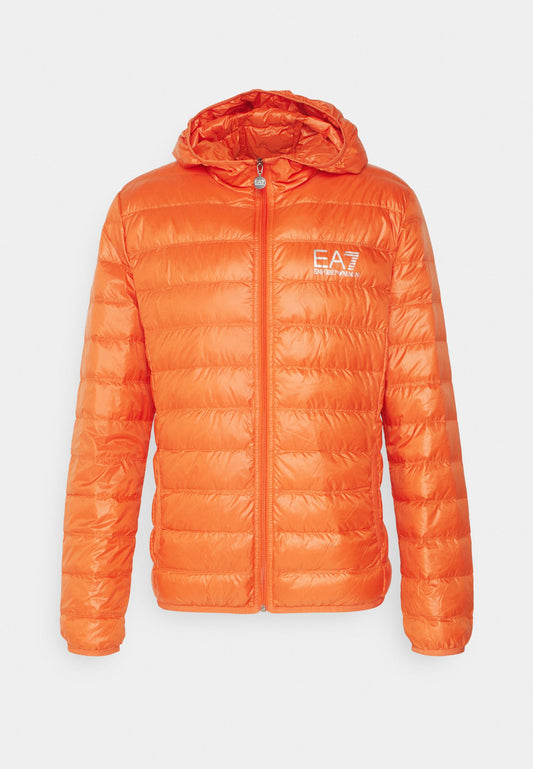 EA7 Emporio Armani S17 PIUMINO Orange (ZZLP86001-H00) Men